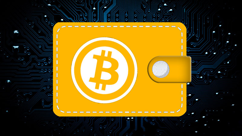 Exploring the Cryptocurrency Wallet: Your Key to the Digital Frontier